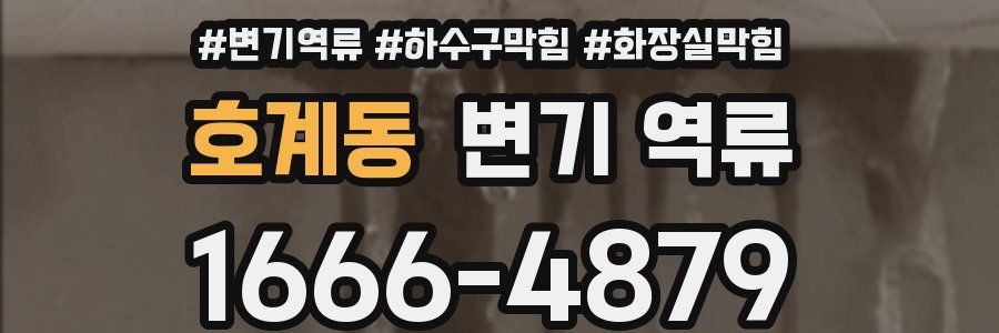 호계동 변기 역류