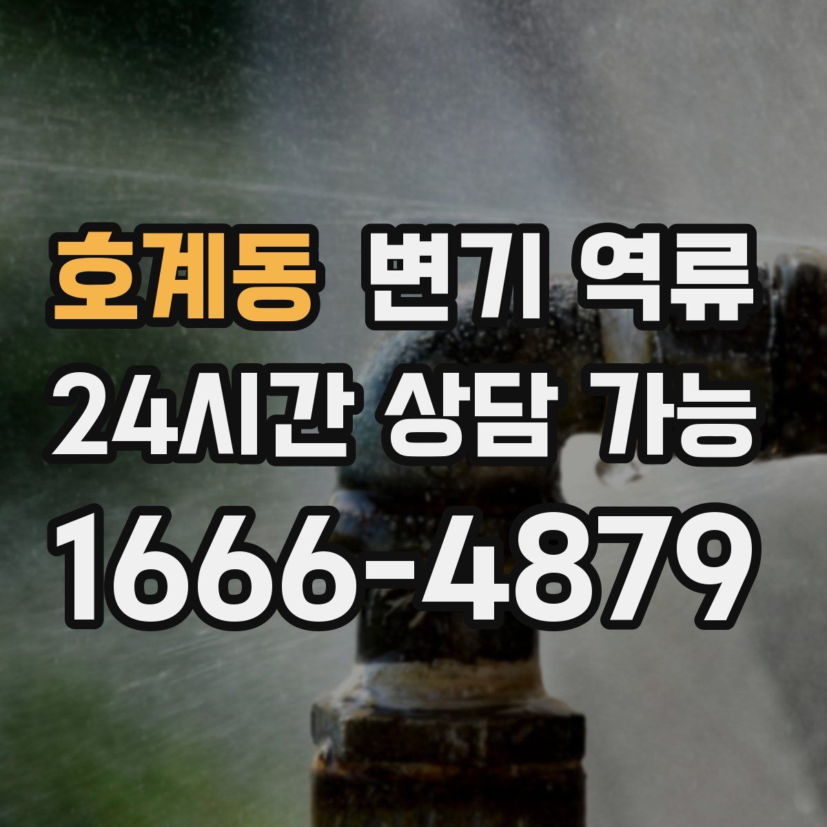 호계동 변기 역류