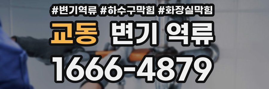 교동 변기 역류