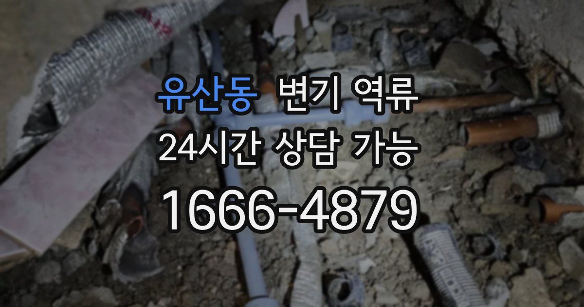 유산동 변기 역류