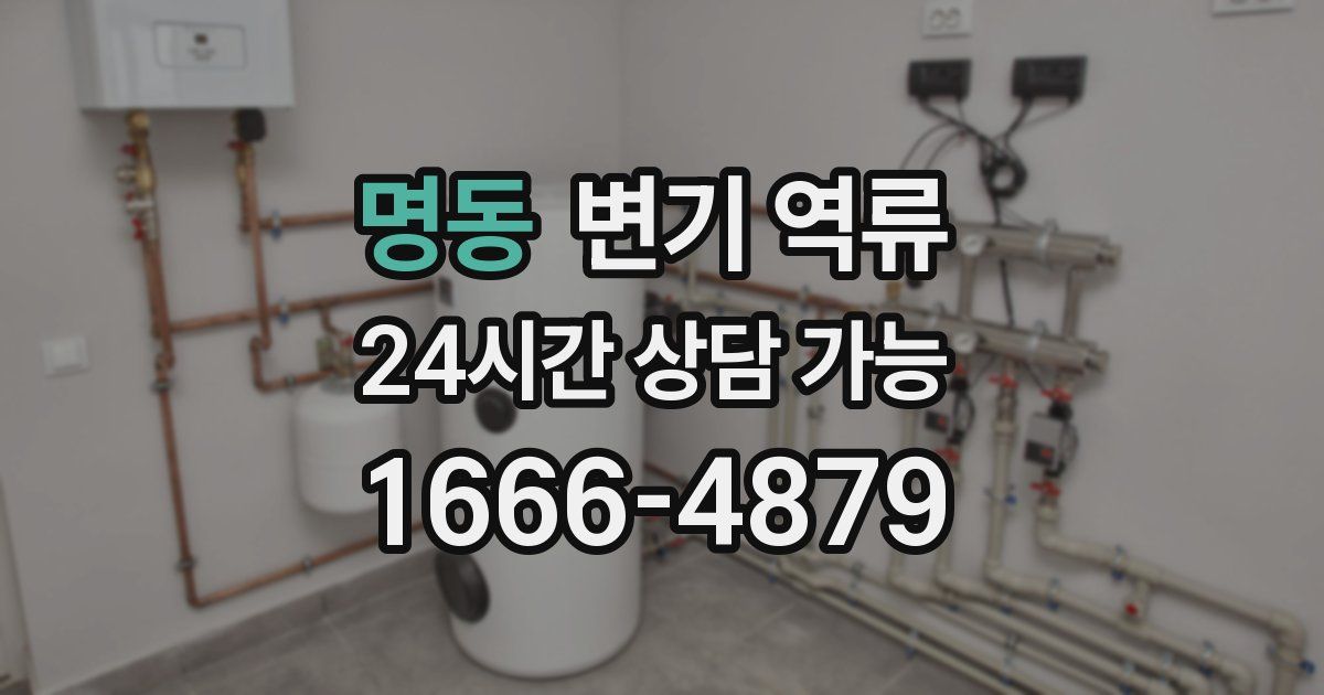 명동 변기 역류