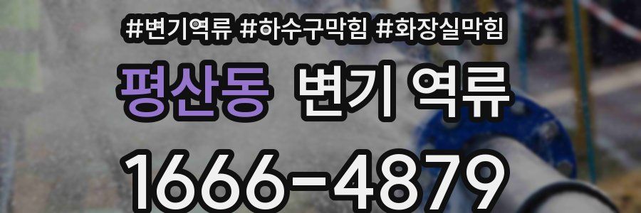 평산동 변기 역류