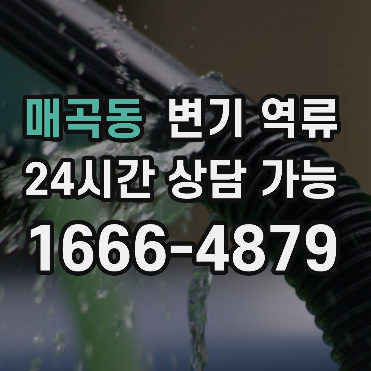 매곡동 변기 역류 여러 배수구가 함께 느려지면 공용 문제일까