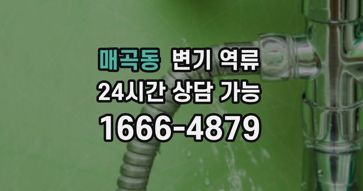 매곡동 변기 역류