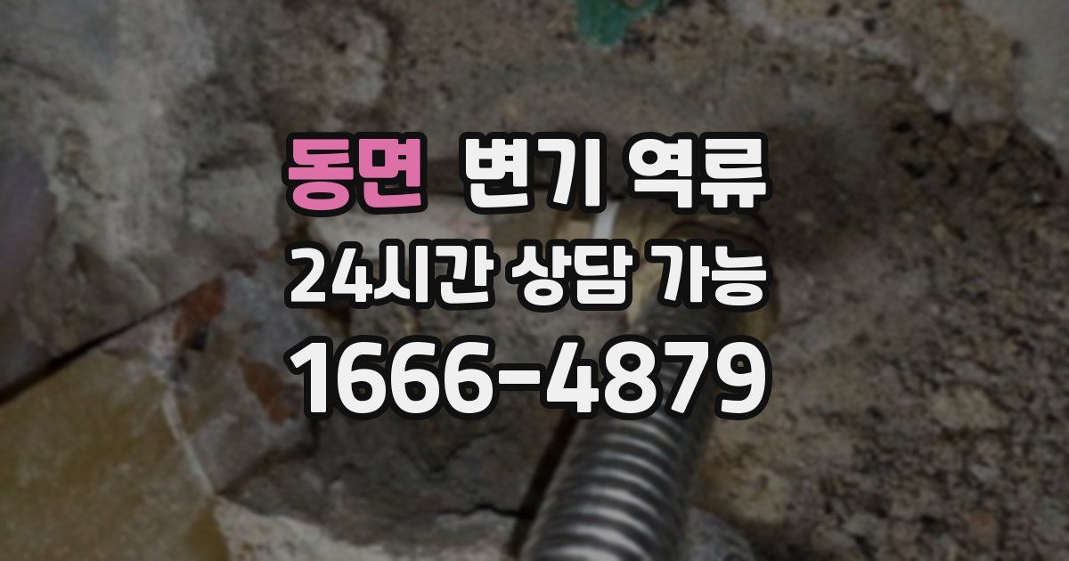 동면 변기 역류