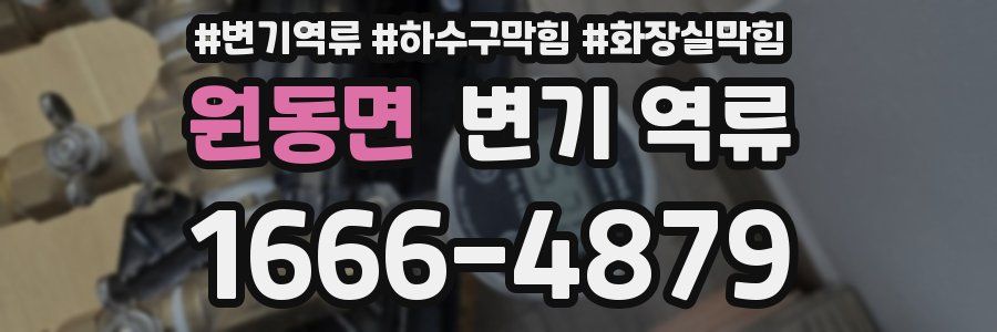 원동면 변기 역류