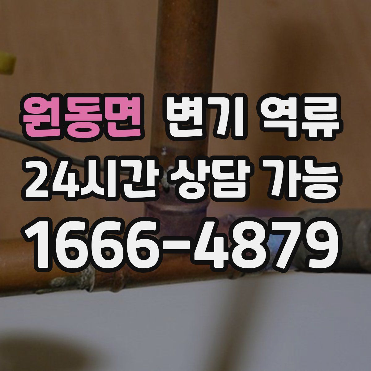 원동면 변기 역류