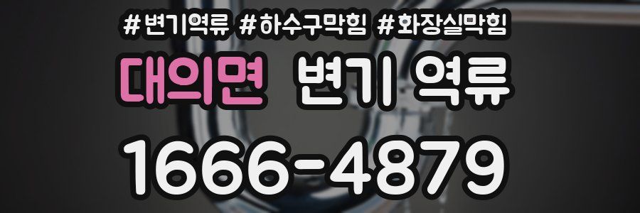 대의면 변기 역류