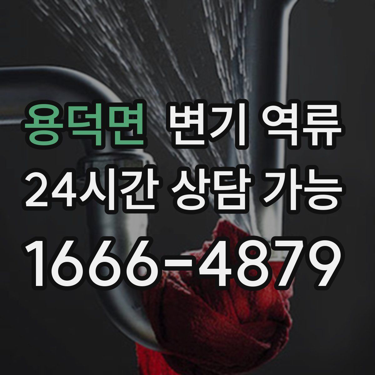 용덕면 변기 역류