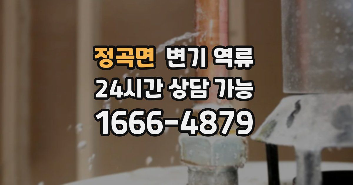 정곡면 변기 역류