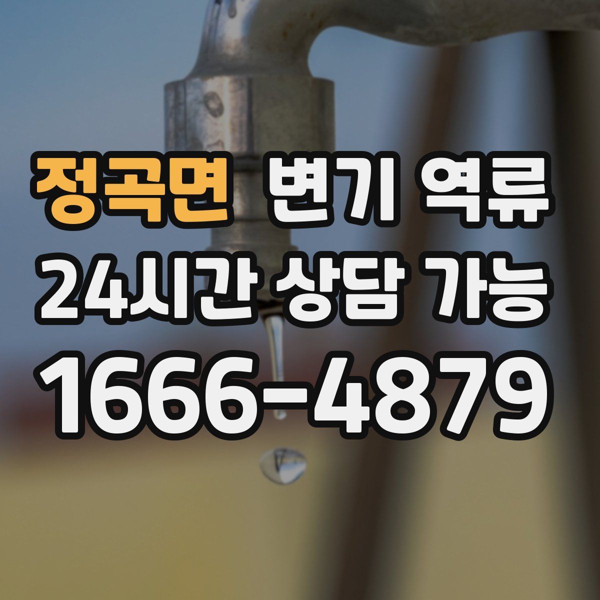 정곡면 변기 역류