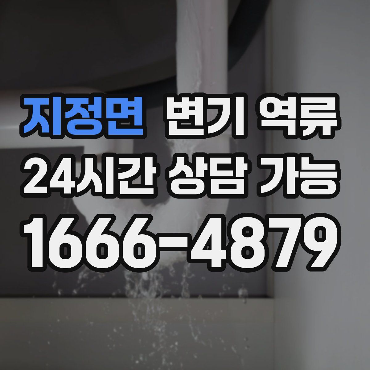 지정면 변기 역류