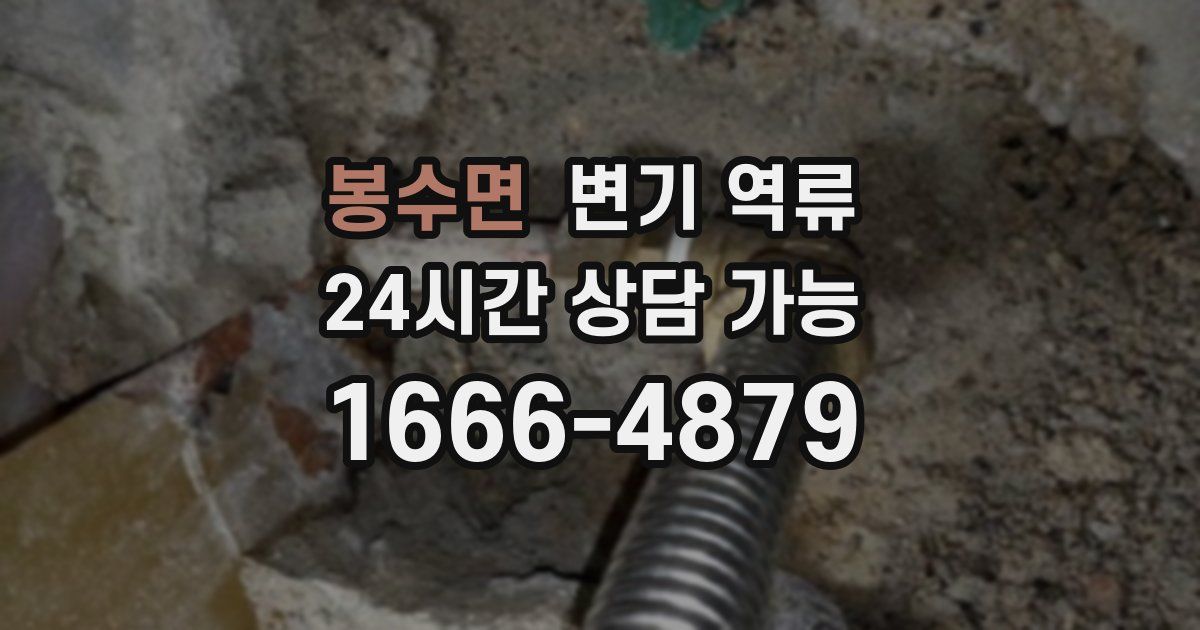 봉수면 변기 역류