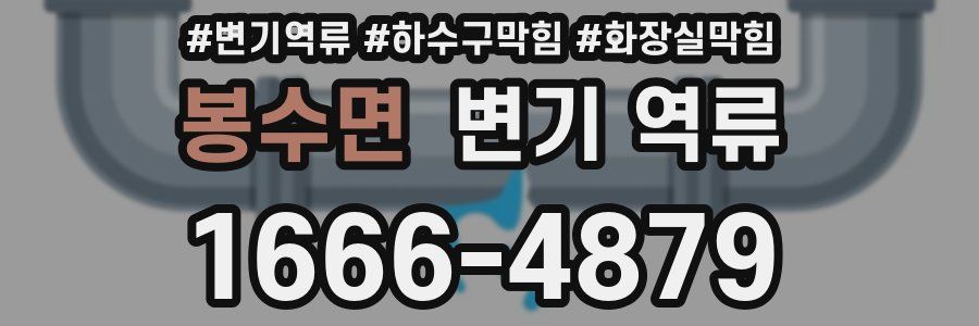 봉수면 변기 역류