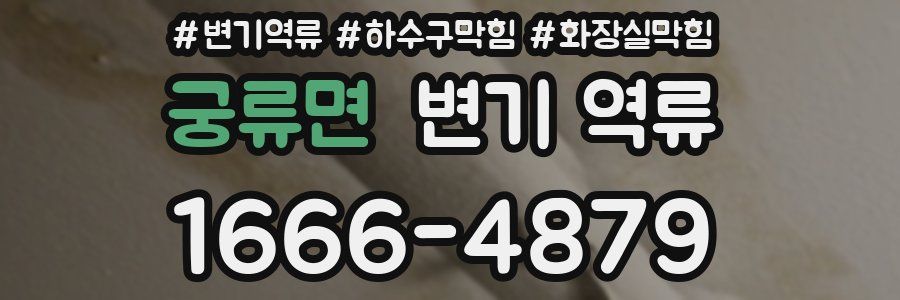 궁류면 변기 역류