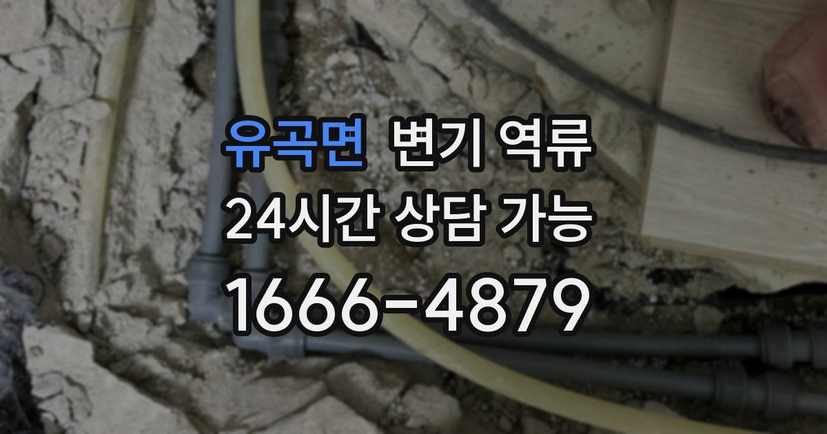 유곡면 변기 역류