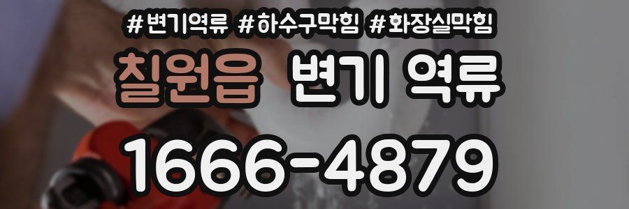 칠원읍 변기 역류