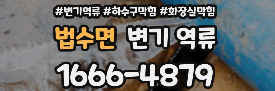 법수면 변기 역류