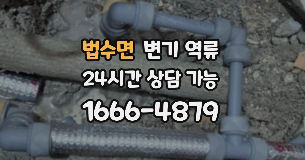 법수면 변기 역류