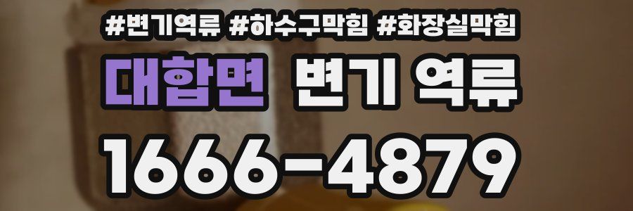 대합면 변기 역류