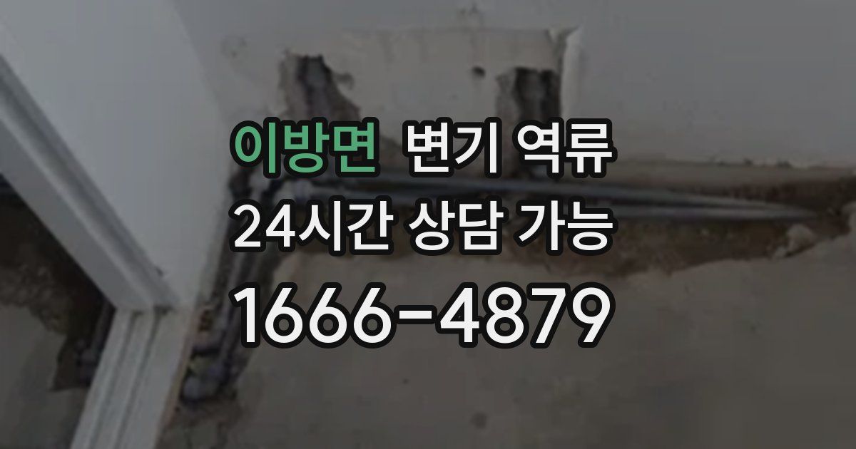이방면 변기 역류
