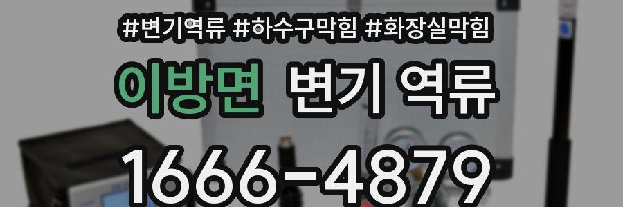 이방면 변기 역류