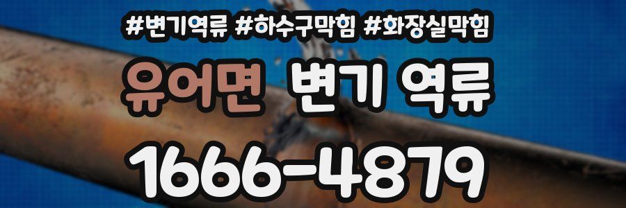 유어면 변기 역류