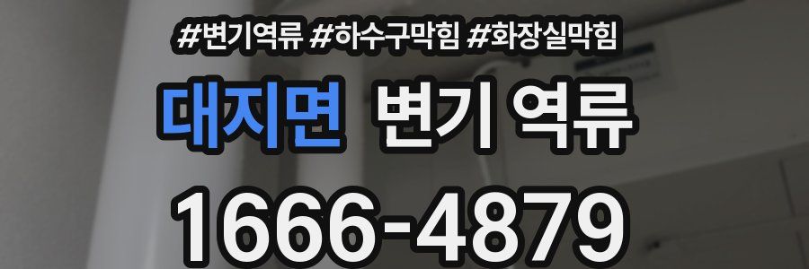 대지면 변기 역류