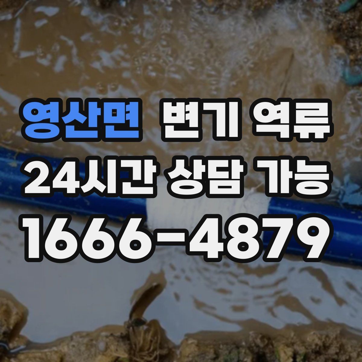 영산면 변기 역류 아래층 피해를 막기 위한 현장 대응 순서