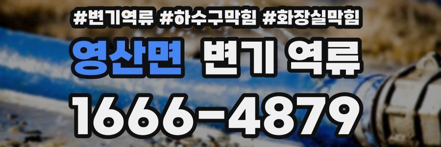 영산면 변기 역류