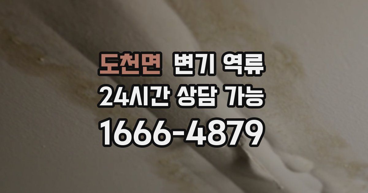 도천면 변기 역류