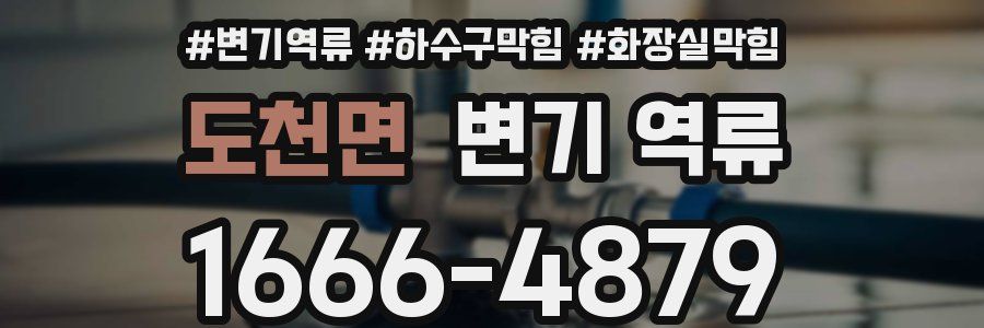 도천면 변기 역류