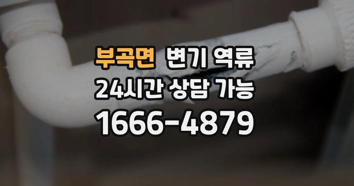 부곡면 변기 역류