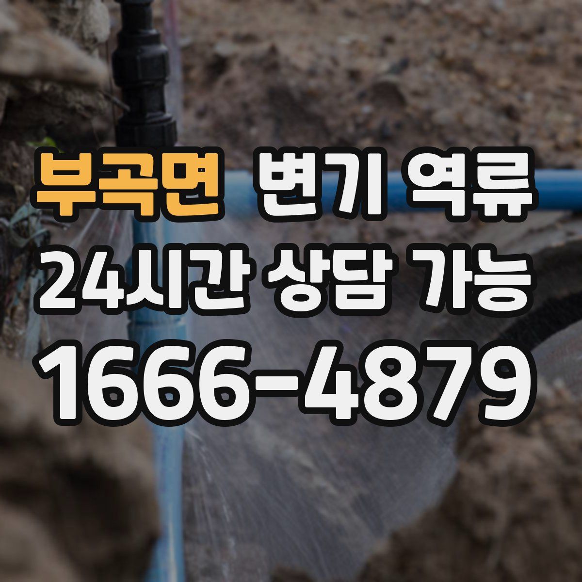 부곡면 변기 역류