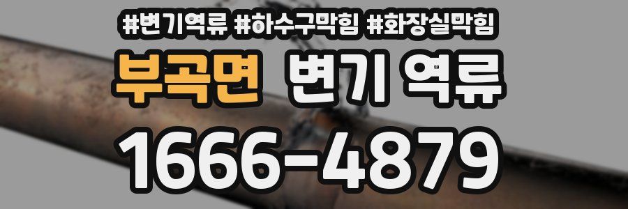 부곡면 변기 역류
