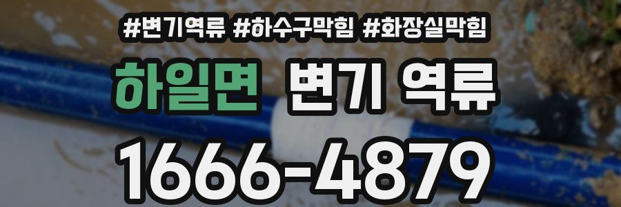 하일면 변기 역류