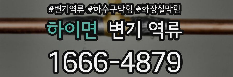 하이면 변기 역류