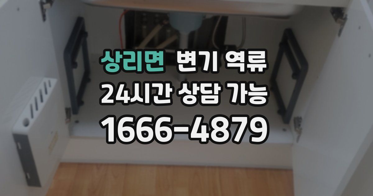 상리면 변기 역류