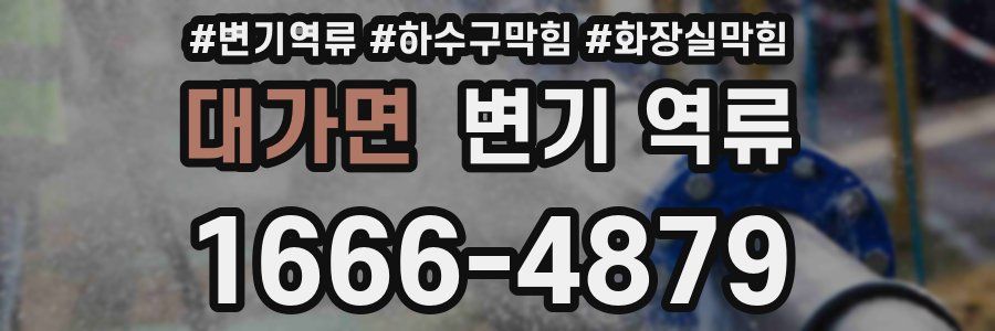 대가면 변기 역류