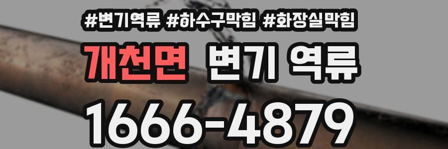 개천면 변기 역류