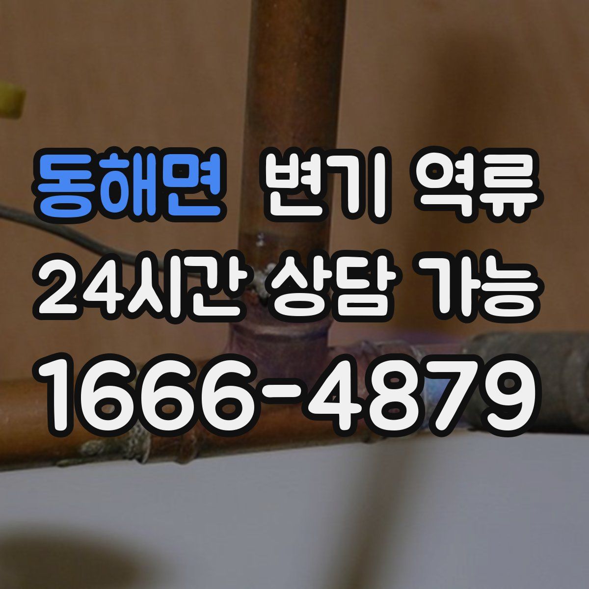 동해면 변기 역류