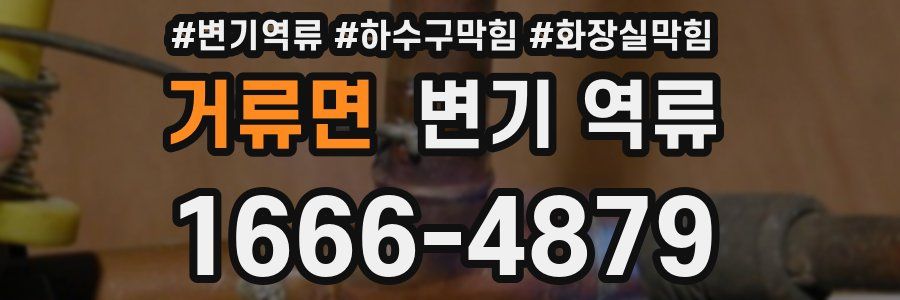 거류면 변기 역류