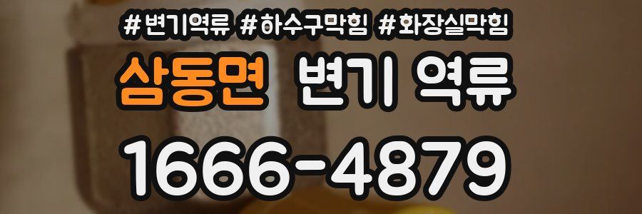 삼동면 변기 역류