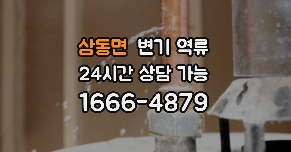 삼동면 변기 역류