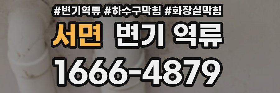 서면 변기 역류