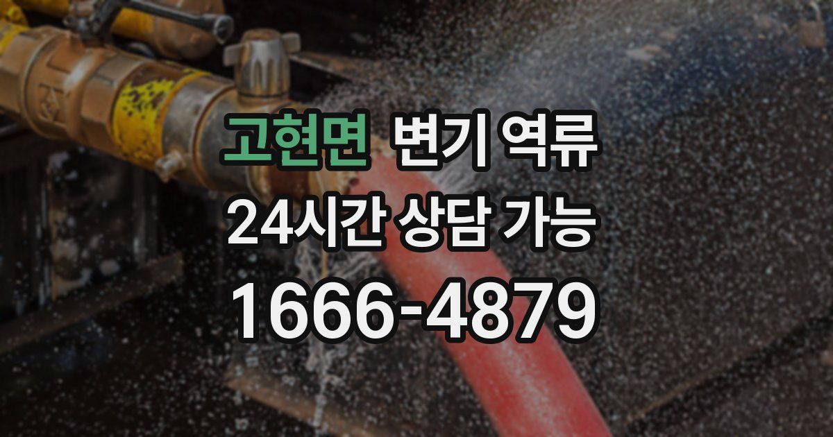 고현면 변기 역류