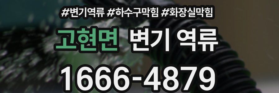 고현면 변기 역류