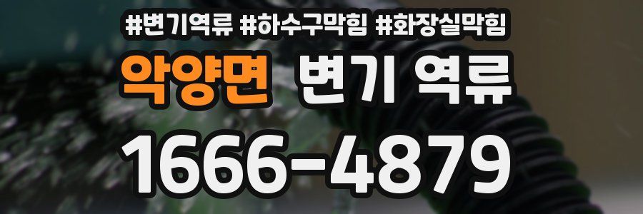 악양면 변기 역류