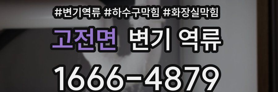 고전면 변기 역류