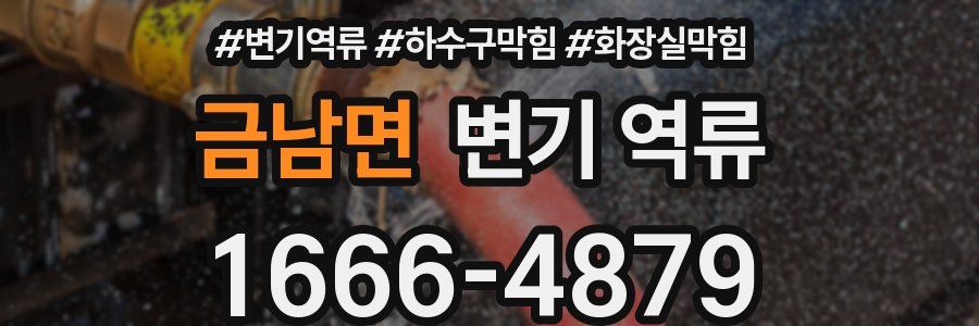 금남면 변기 역류
